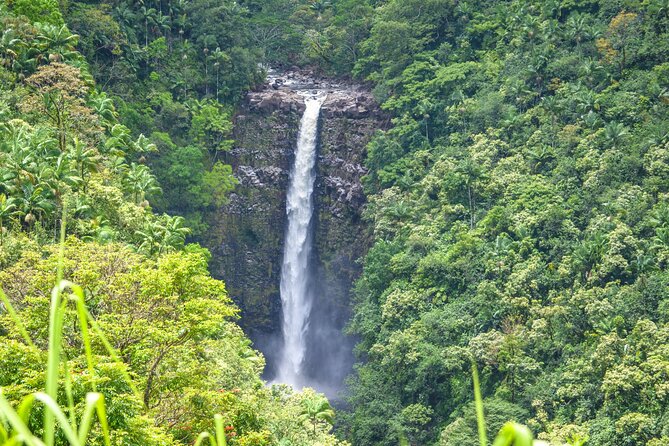 Big Island Waterfall Hiking With Hilo Cruise Ship Pickup - Breathtaking Landscapes