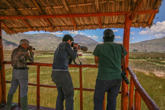 Birdwatching at Huacarpay Wetland in Cusco - Targeted Bird Species