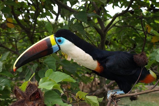 Birdwatching National Aviary Cartagena De Indias - Refreshments and Amenities