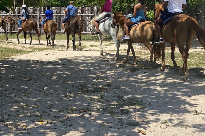 Birthday Celebration Experience in Jamaica + Transportation - Tips for a Memorable Celebration