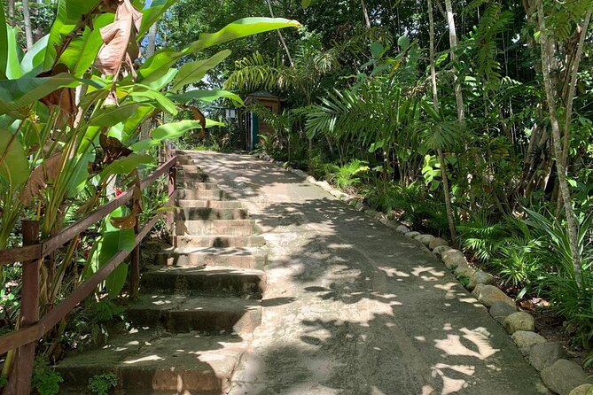 Blue Hole & Dunns River Falls With Lunch From Negril - Thrilling Activities