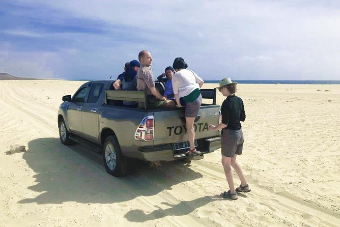 Boa Vista Island: 4-Hour Rabil, Viana Desert & Shipwreck Tour - Pickup and Drop-off Arrangements