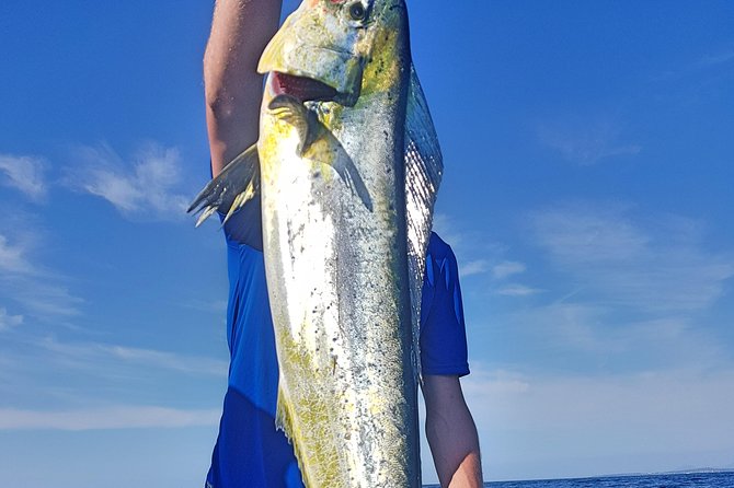 Boat Fishing Trip - Booking and Availability