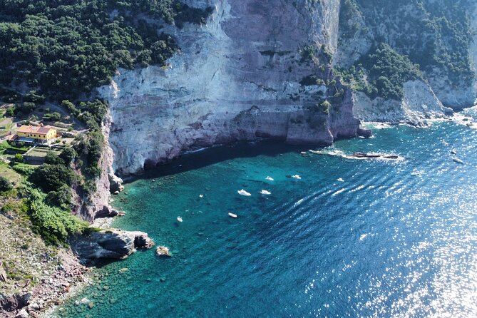 Boat Tour La Spezia Review: An Unforgettable Experience - Highlights of the Experience