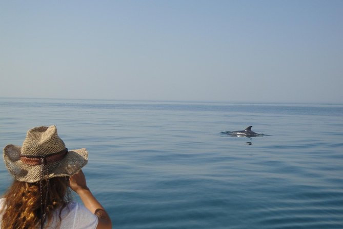 Boat Trip for Dolphin Watching Along the Arrabida Coast and Sesimbra - Spotting Dolphins in Sesimbra