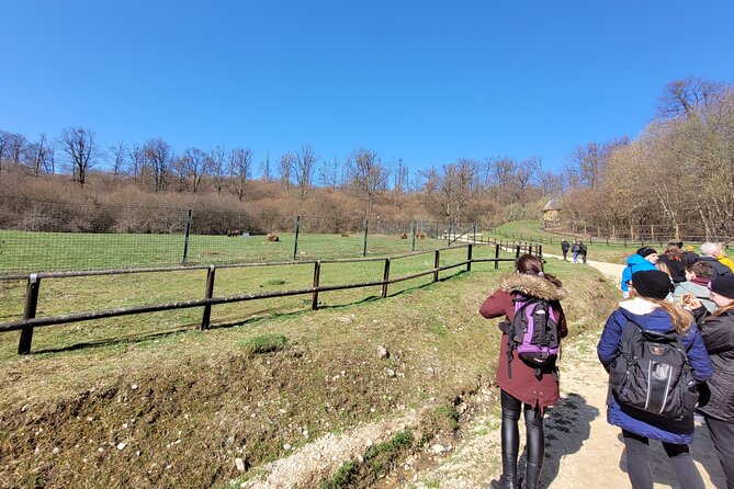Bran Castle & Bear Sanctuary From Brasov - Optional Peles Castle - Customer Reviews