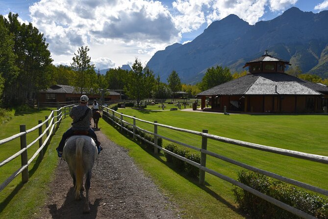 Buffalo Loop 1-Hour Horseback Trail Ride in Kananaskis - Traveler Reviews and Feedback