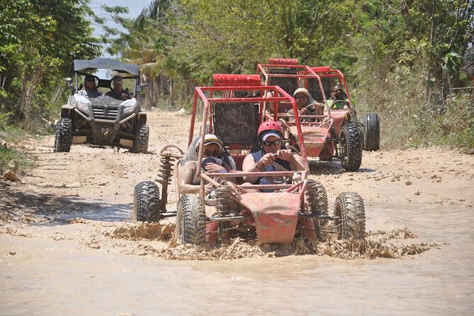 Buggies Half Day Experience and Cenote - Customer Feedback