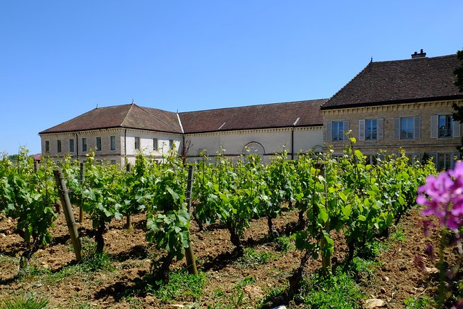 Burgundy Wine Trail From Beaune to Macon - Health and Safety Considerations
