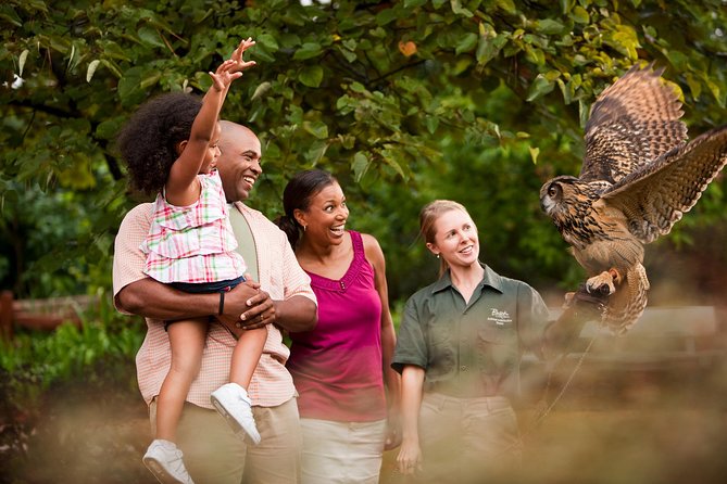 Busch Gardens Williamsburg Admission Ticket - Visitor Reviews and Feedback