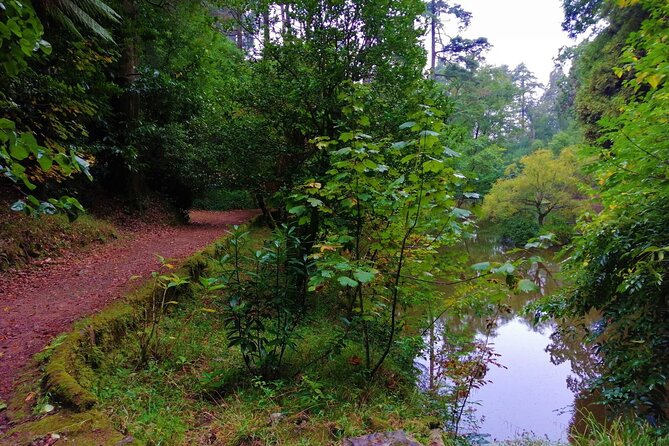 Bussaco Forest Walking Experience, Half Day From Coimbra - Additional Information