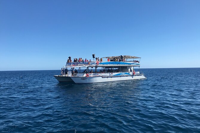 Cabo Escape Snorkel Fun Cruise - Staff Attentiveness