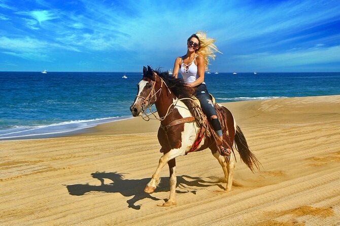 Cabo Horseback Riding on Pacific Beach and Desert - Photography Policy