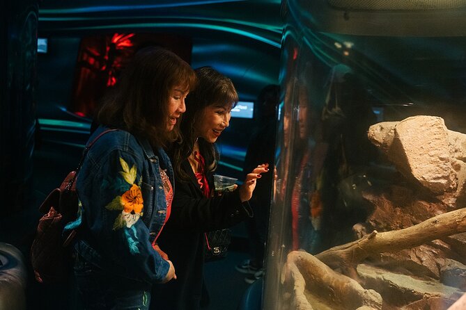 California Academy of Sciences NightLife Admission Ticket - Enhancing Your NightLife Outing