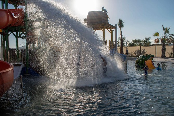 Camel Quest With Snacks & Waterslides - Animal Sanctuary Visit