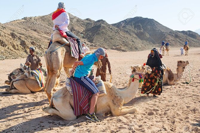 Camel Ridding Marsa Alam Safari From Camel Yard - Journey From Desert to Beach