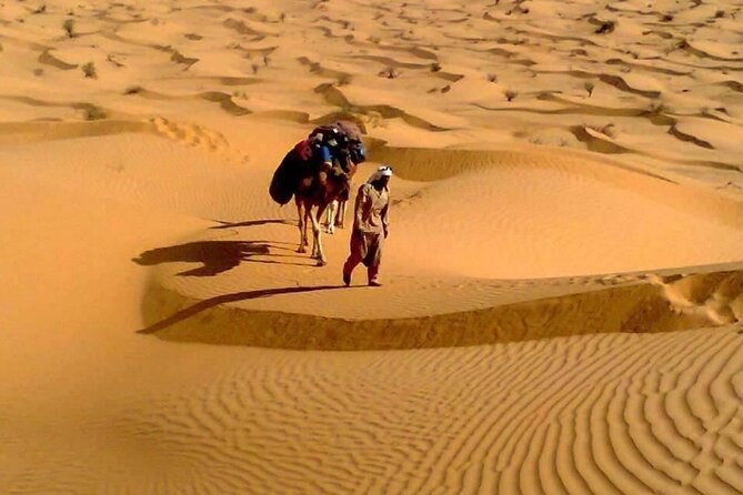 Camel Ride and 1 Night in the Desert - Traveler Reviews and Feedback