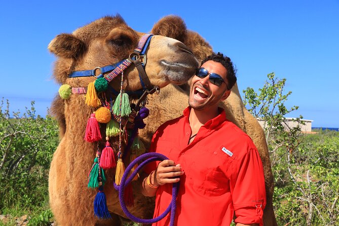 Camel Ride and UTV Combo Adventure, With Tequila Tasting - Side by Side UTV Adventure