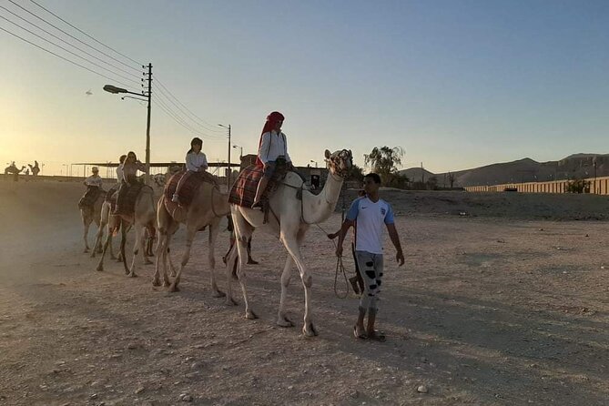 Camel Riding Tour in Luxor West Bank - Tips for a Memorable Ride