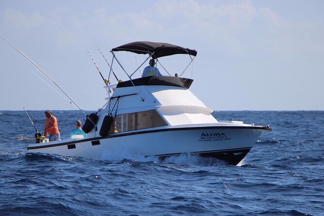 Cancun Fishing Charter if You Dont Fish You Dont Pay Bertram 31FT 6 Pax 25P5 - Successful Fishing Experiences