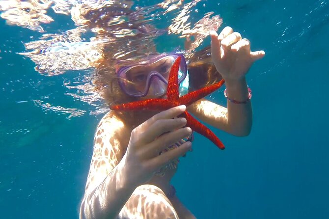 Cap Norfeu Swimming - Booking and Reservation