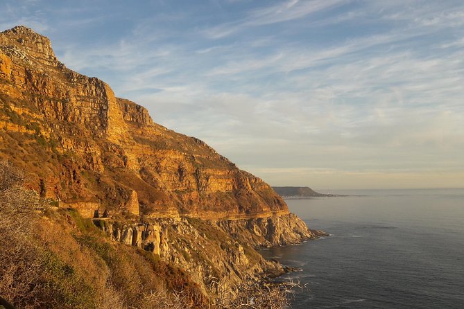 Cape of Good Hope, Cape Point & Penguins, Private Morning Tour - Feedback and Reviews