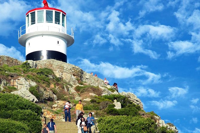 Cape Point Explore With Boulders Penguins Small Group Day Tour - Recommendations for Participants