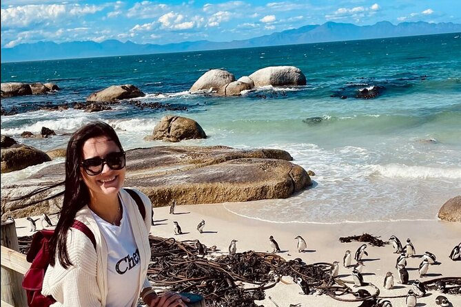 Cape Town Peninsula and Penguins Private Sightseeing Tour - Customizable Tour Experience