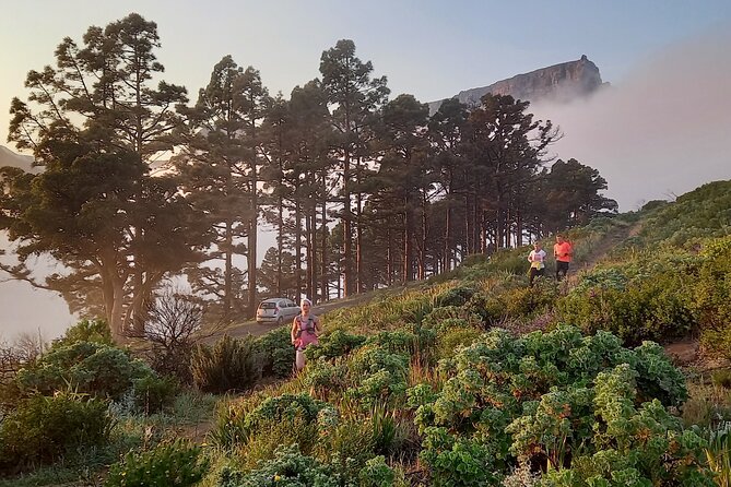 Cape Town Trail Run Lions Head Signal Hill Morning | Travel Buddies