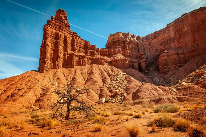 Capitol Reef National Park Self-Guided Driving Audio Tour - Traveler Experiences and Feedback