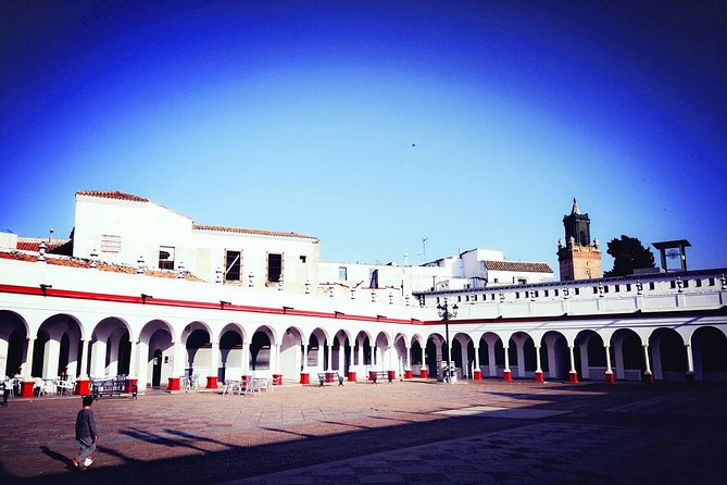 Carmona and Necropolis: Guided Day Tour From Seville - Meeting Points and Accessibility