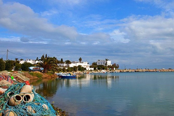 Carthage Discovery Half-Day Tour With Licensed Guide - Customer Experiences