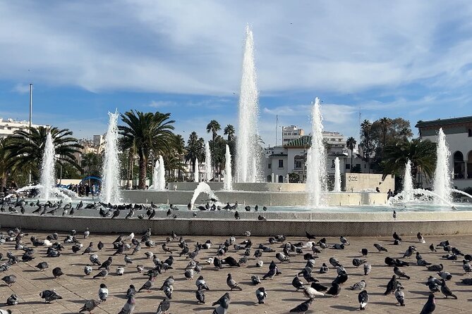 Casablanca Guided Sightseeing Shared Tour With Van - Customer Reviews