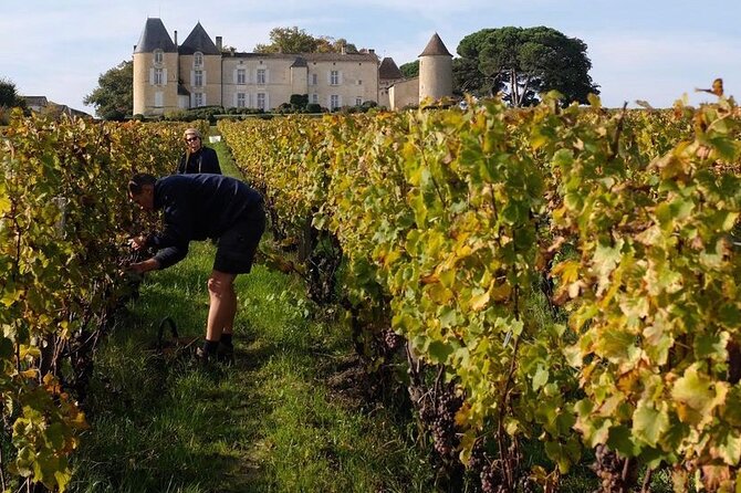 Castel Wine Tour in Bordeaux Margaux - Tour Reviews