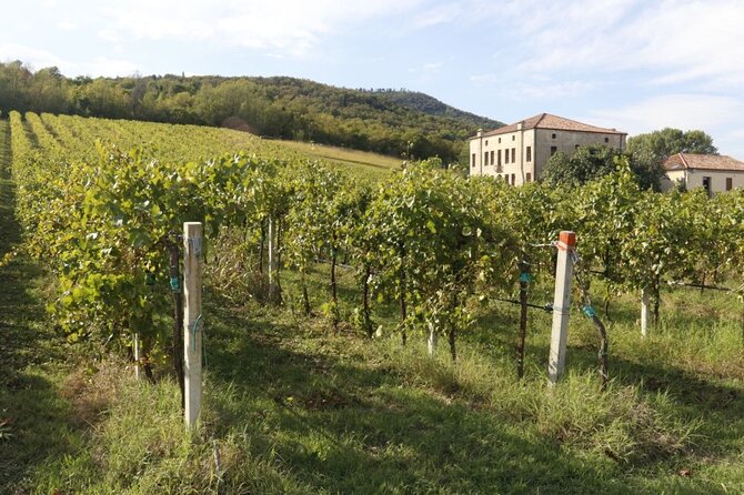 Castle, Medieval Village, Venetian Baroque Garden, Wine Tasting Private Tour - Contact Information