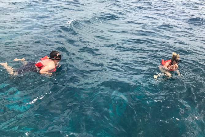Catalina Island and Snorkeling Tour - Transportation Details