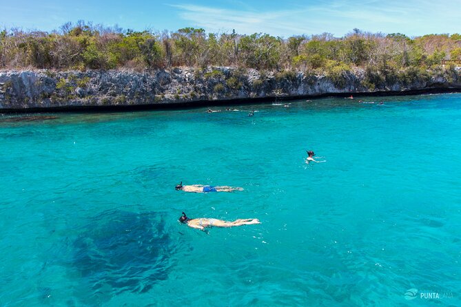 Catalina Island Tour - the Best Snorkelling Experience - Getting to the Meeting Point