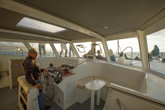 Catamaran Sunset Champagne Cruise Cape Town - Nearby Attractions