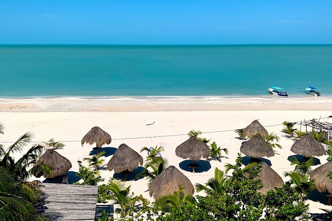 Celestun Beach and Mangrove Boat Ride From Merida - Recommendations and Tips