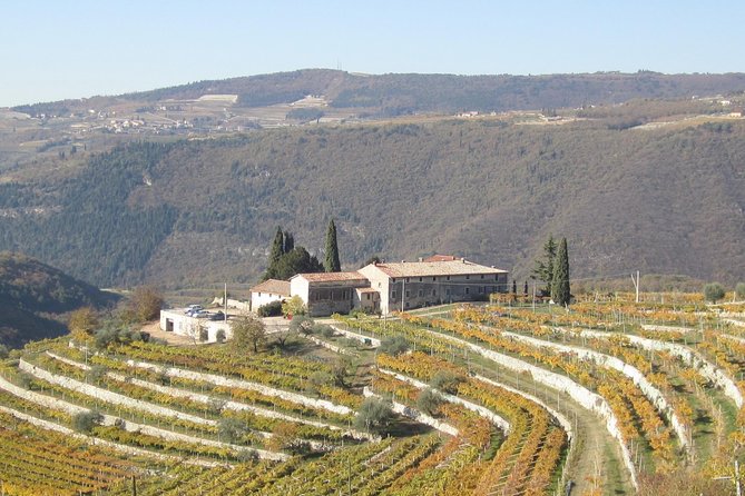 Champagne Experience at a Boutique Winery - 17th-Century Cellar and House