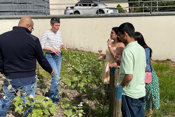 Champagne Munoz Bruneau : Half Day Visit and Tasting - Frequently Asked Questions