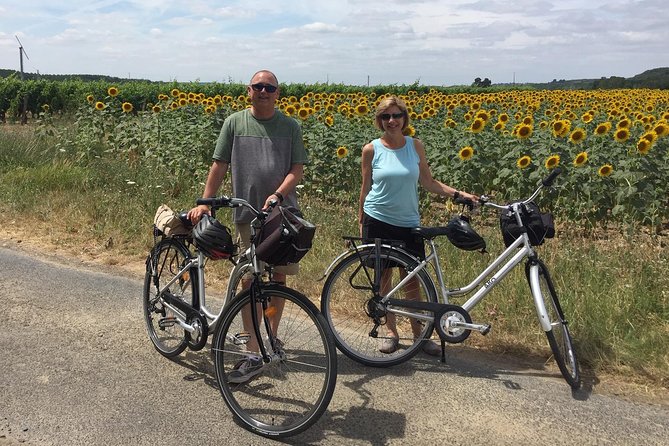 Chinon Wine Tour by Bike With Picnic Lunch - Tour Schedule and Availability