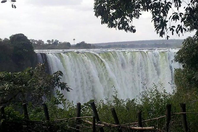 Chobe Day Trip From Victoria Falls - Booking Information
