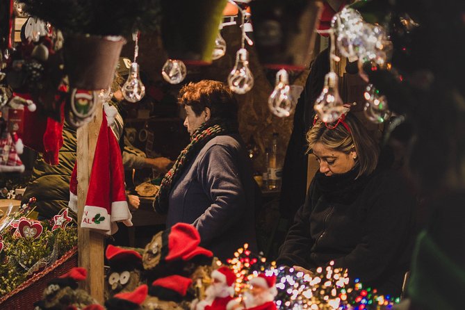 Christmas Private Daytrip - Vienna to Budapest & Back, English Speaking Driver - Transportation and Driver