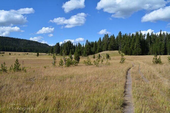 Classic Yellowstone Hike to the Shores of Lake Shoshone (Private up to 8 People) - Tips for an Enjoyable Experience