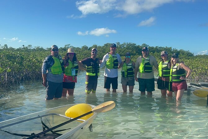 Clear Bottom Kayak Mangrove Eco Tour - Spotting Marine Wildlife