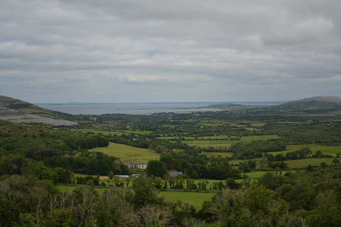 Cliffs of Moher, Burren and WAW Private Tour From Galway - Personalized Experience
