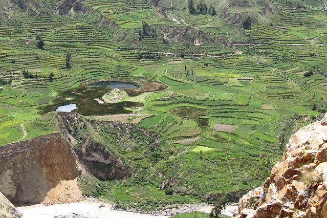 Colca Canyon Sightseeing Tour 2-Day 1-Night - Negative Aspects of the Tour