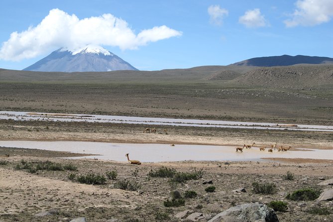 Colca Canyon Tour 2d Short Hiking + Overnight in Small Village Ending in Puno - Overnight Stay
