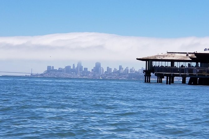 Combo Tour: Muir Woods, Sausalito and Sonoma Wine Country Tour - Explore Sausalito